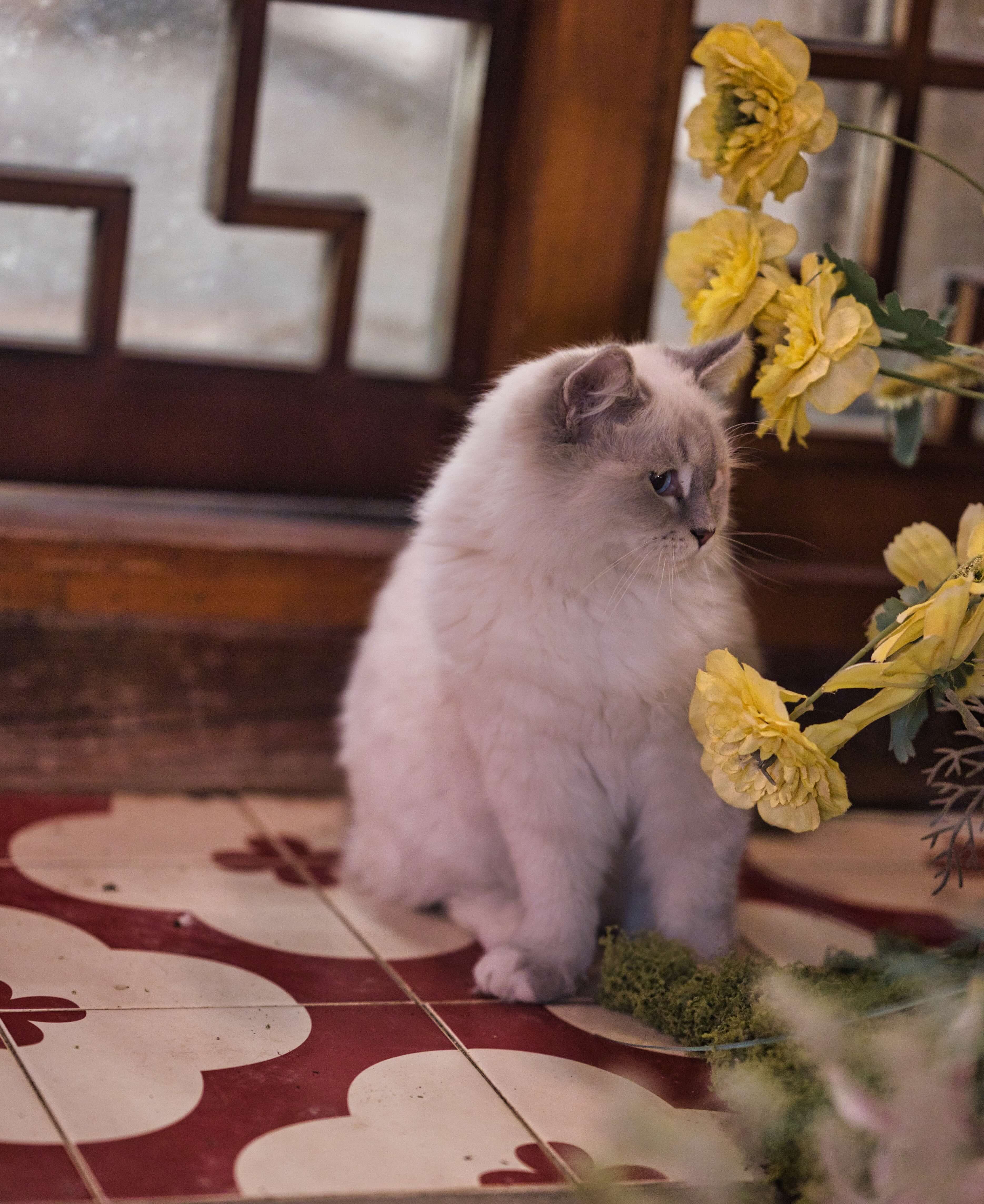 Docker 镜像源配置指南