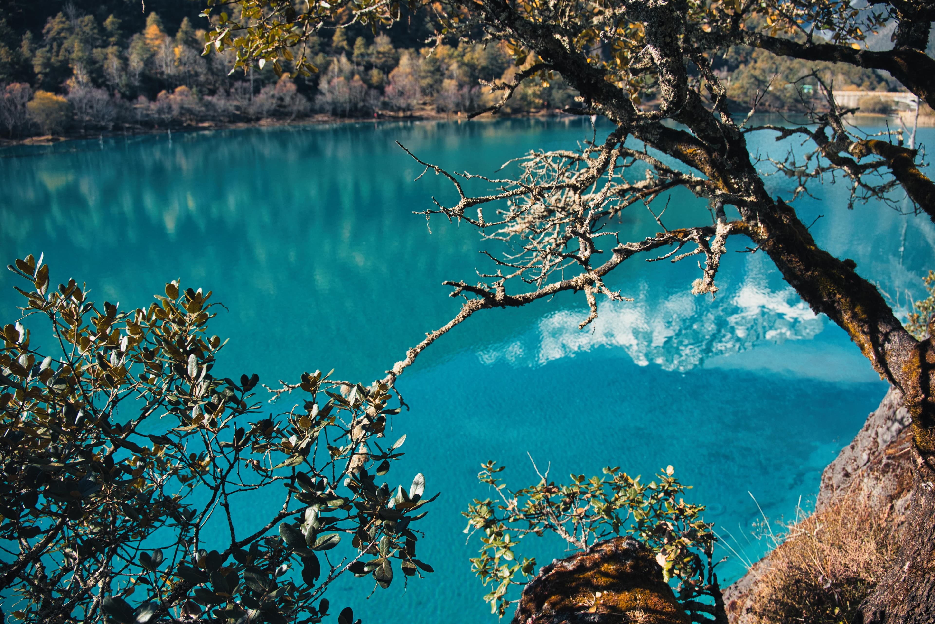 SSH Key 配置与 Git 连接使用指南